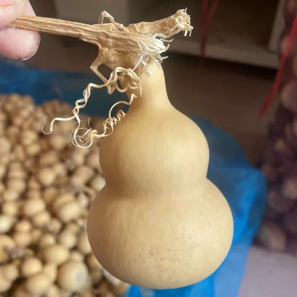 精品葫芦天然手把件带龙头文玩盘玩优选居家装饰福禄葫芦