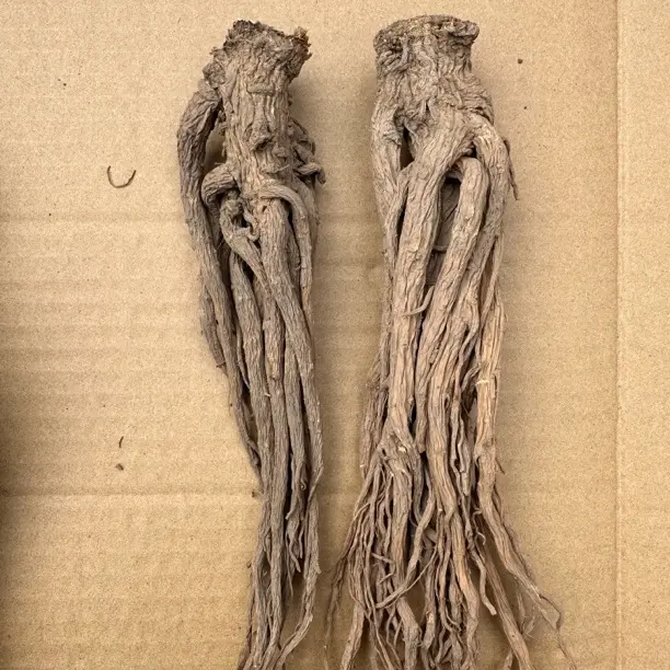 甘肃岷县精选当归原条滋补炖汤佳品