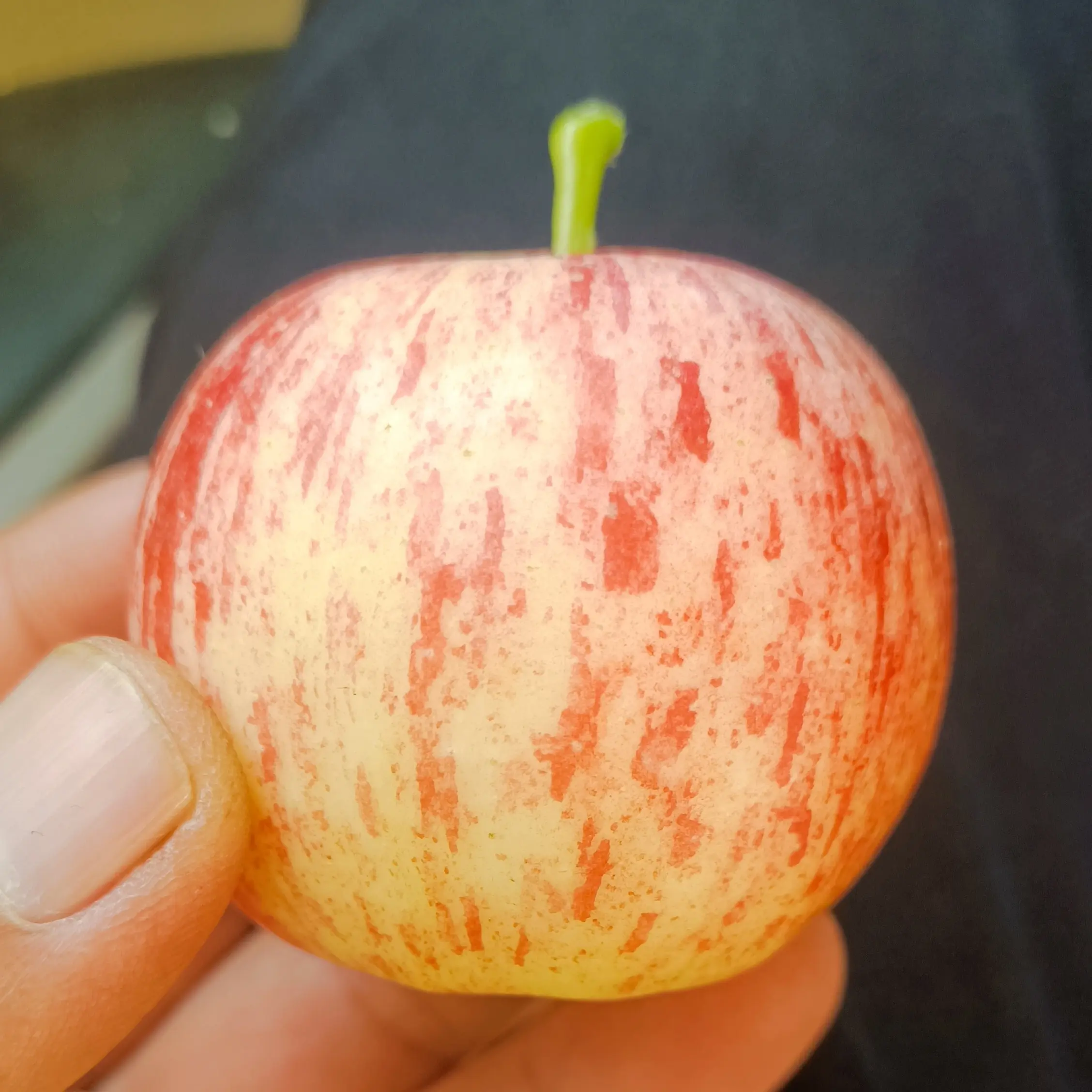 阿克苏市冰糖心红富士当季脆甜多汁