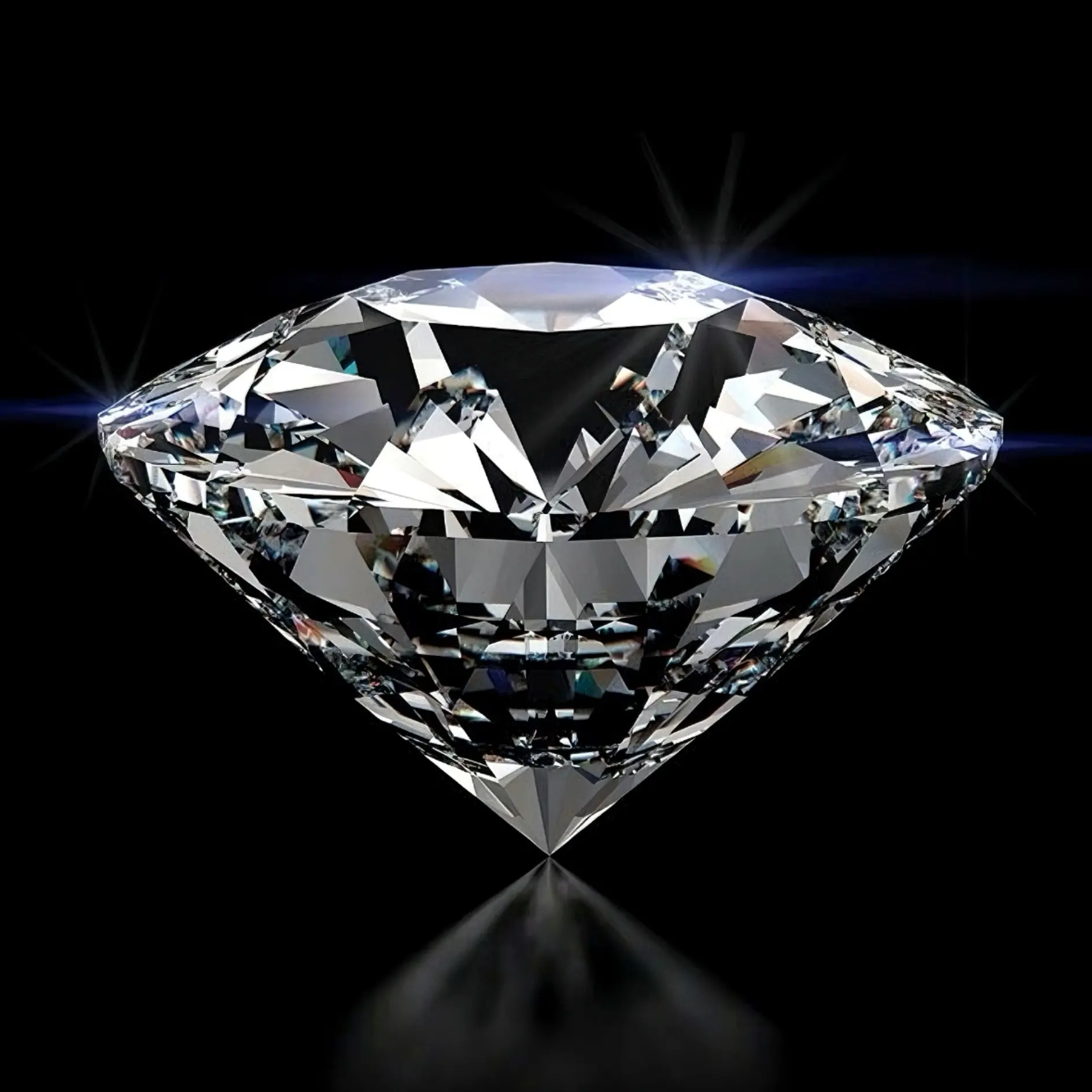 50分 经典气质时尚高端品质