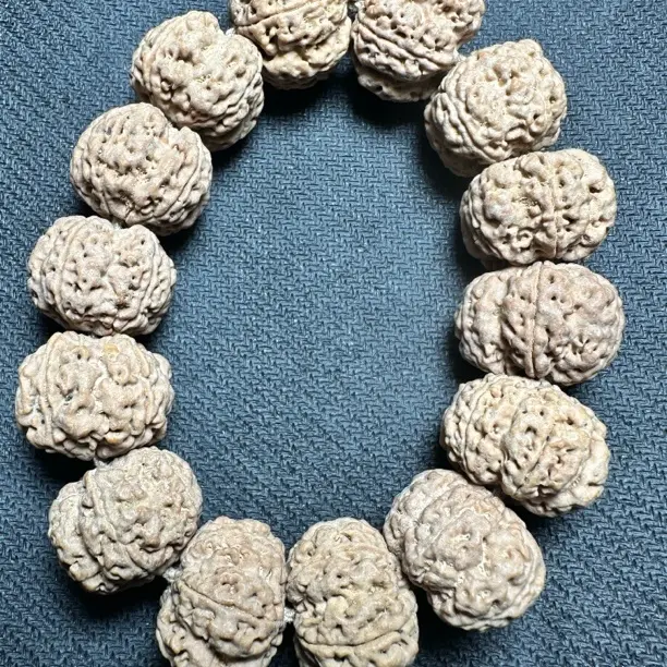 五瓣爆肉梅花双龙纹尼泊尔大金刚菩提籽手串