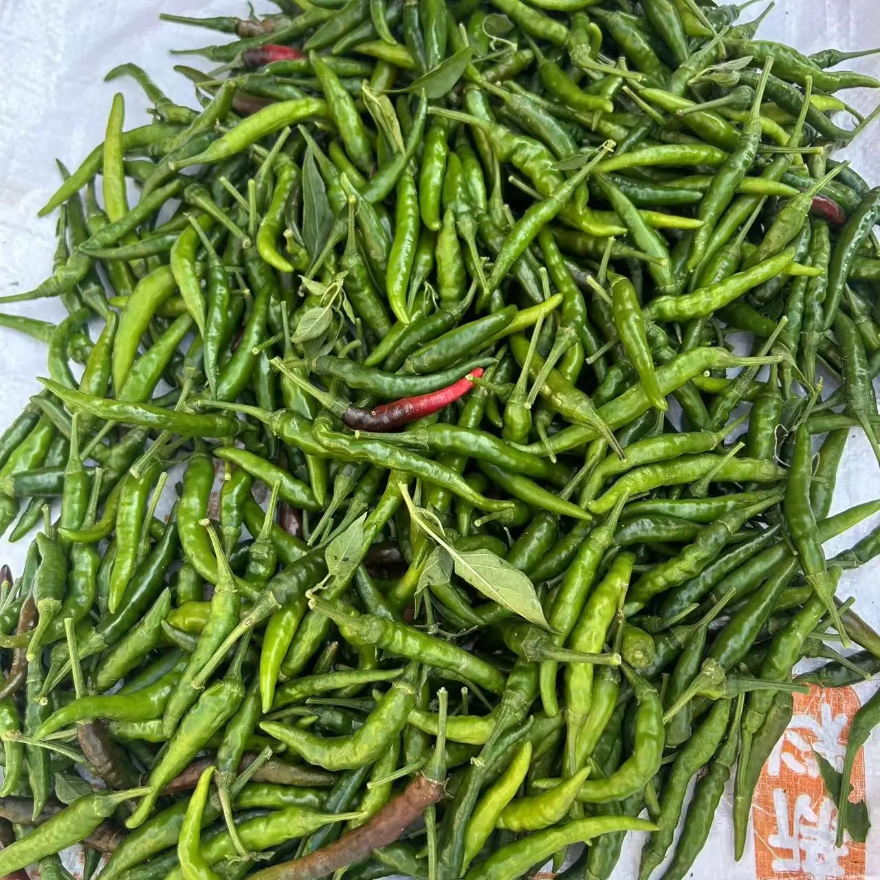 贵州本地农家新鲜现摘土辣椒软皮香辣下饭蔬菜