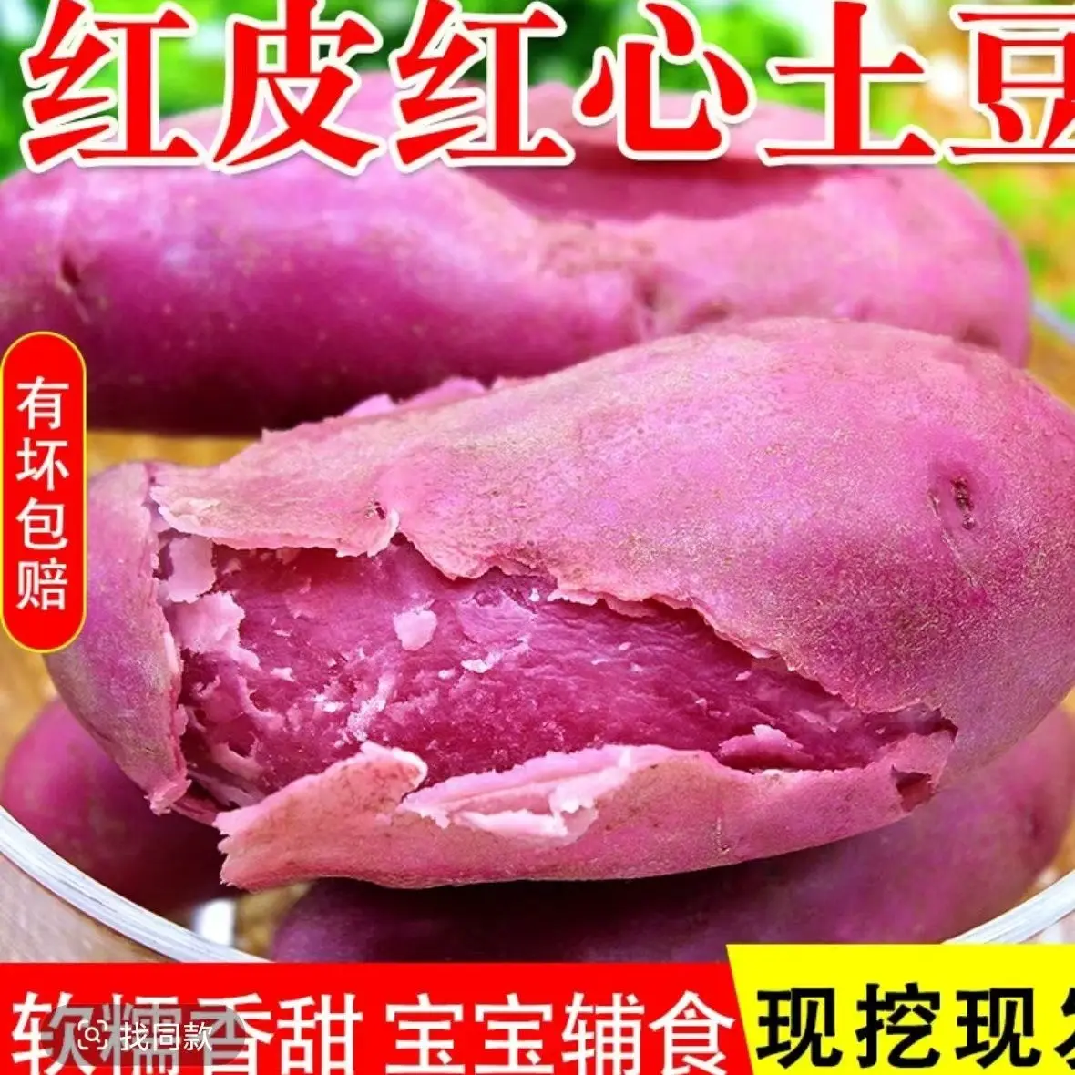 甘肃定西粉面红皮洋芋土豆红皮土豆新鲜现香甜软糯健康美味中国