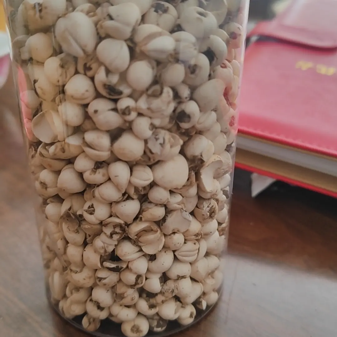 阿坝州川西高原正宗野生川贝母