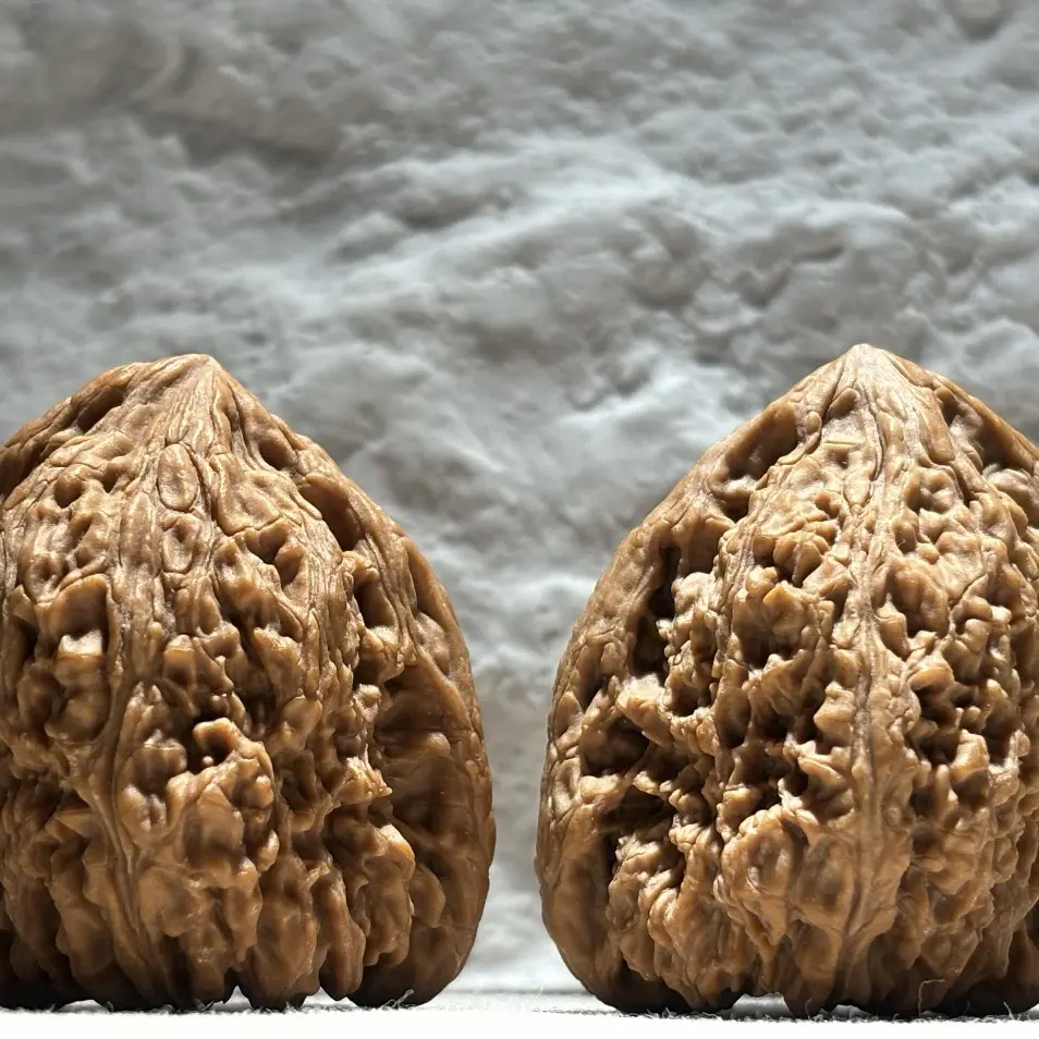 涿鹿老树一代南疆石