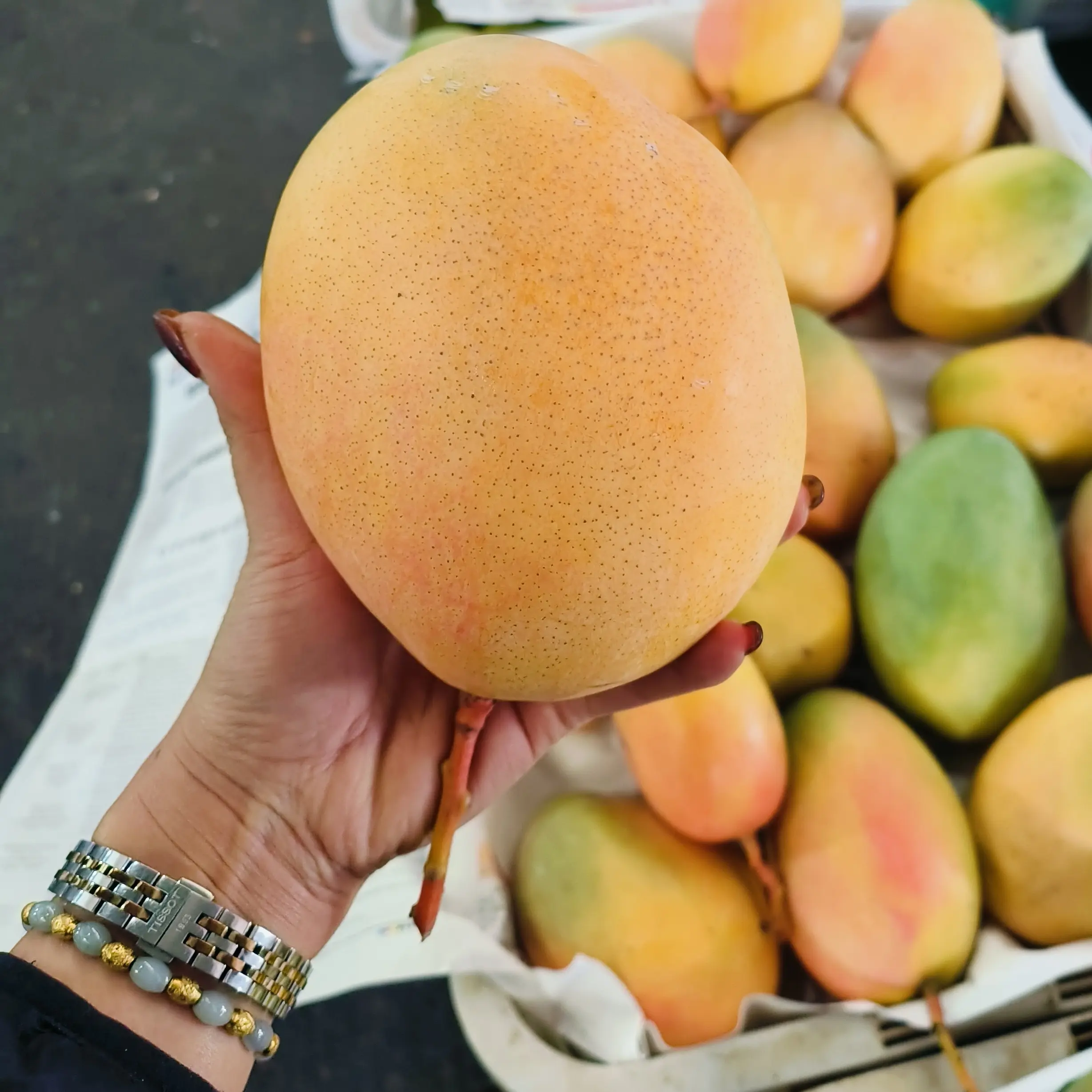 攀枝花凯特芒果新鲜应季现摘香甜多汁核薄肉厚水果