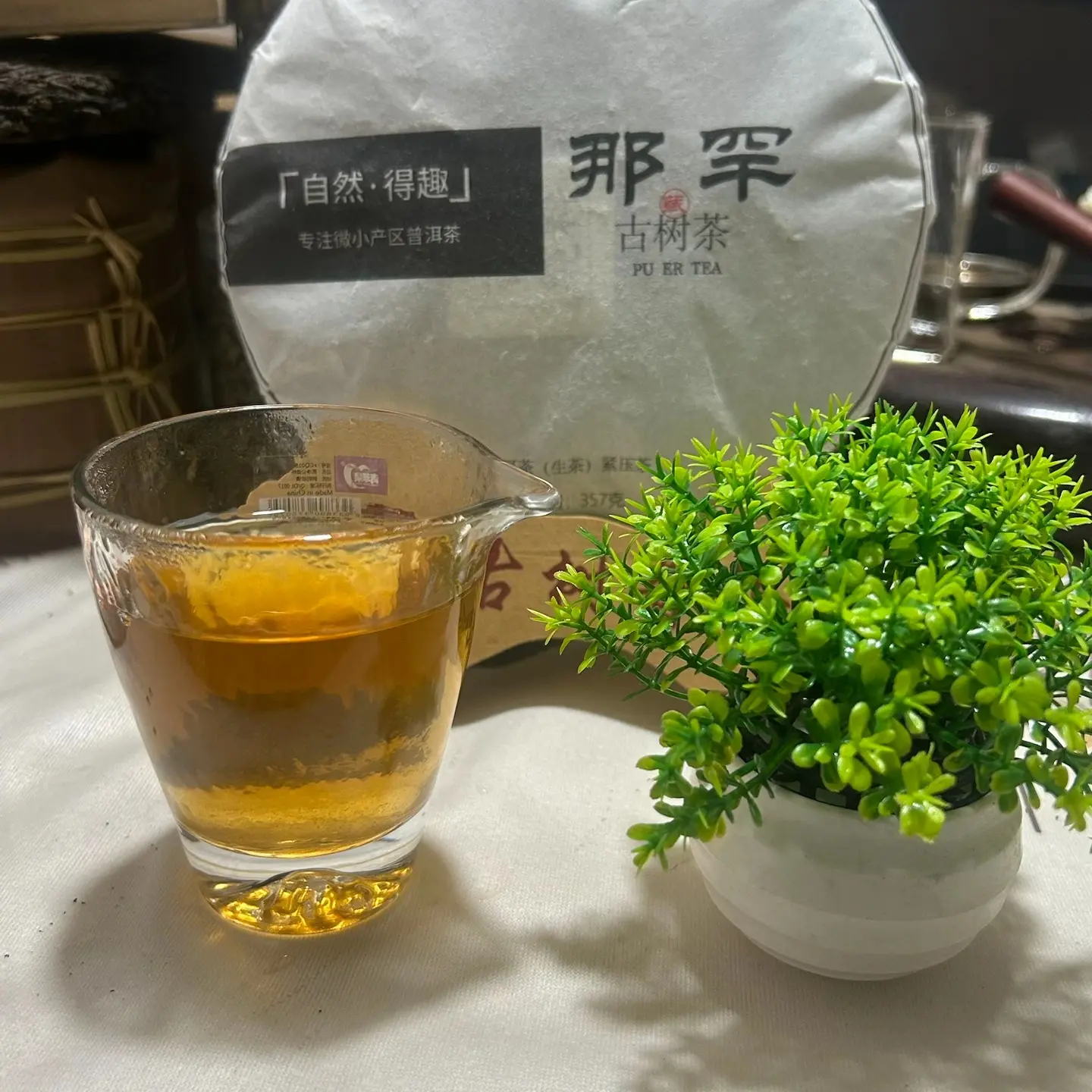 那罕古树茶！密香足！回甘猛！清凉感明显！
