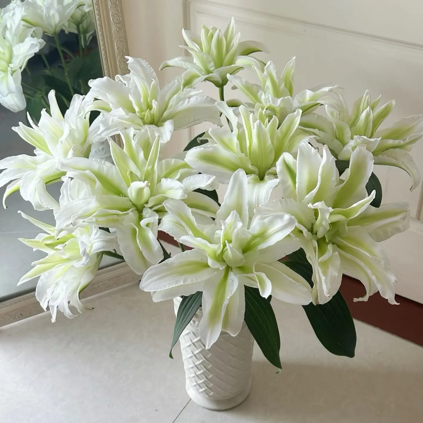 精选 重瓣香水百合种球  可种室内外