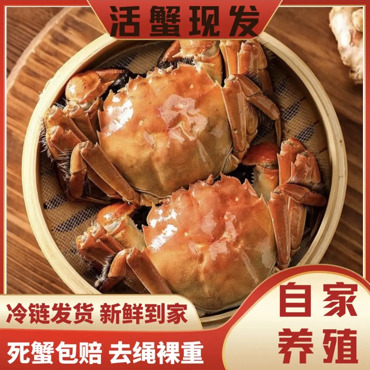 【活蟹】4.0两全母大闸蟹现捕现发8只/10只 只只现活