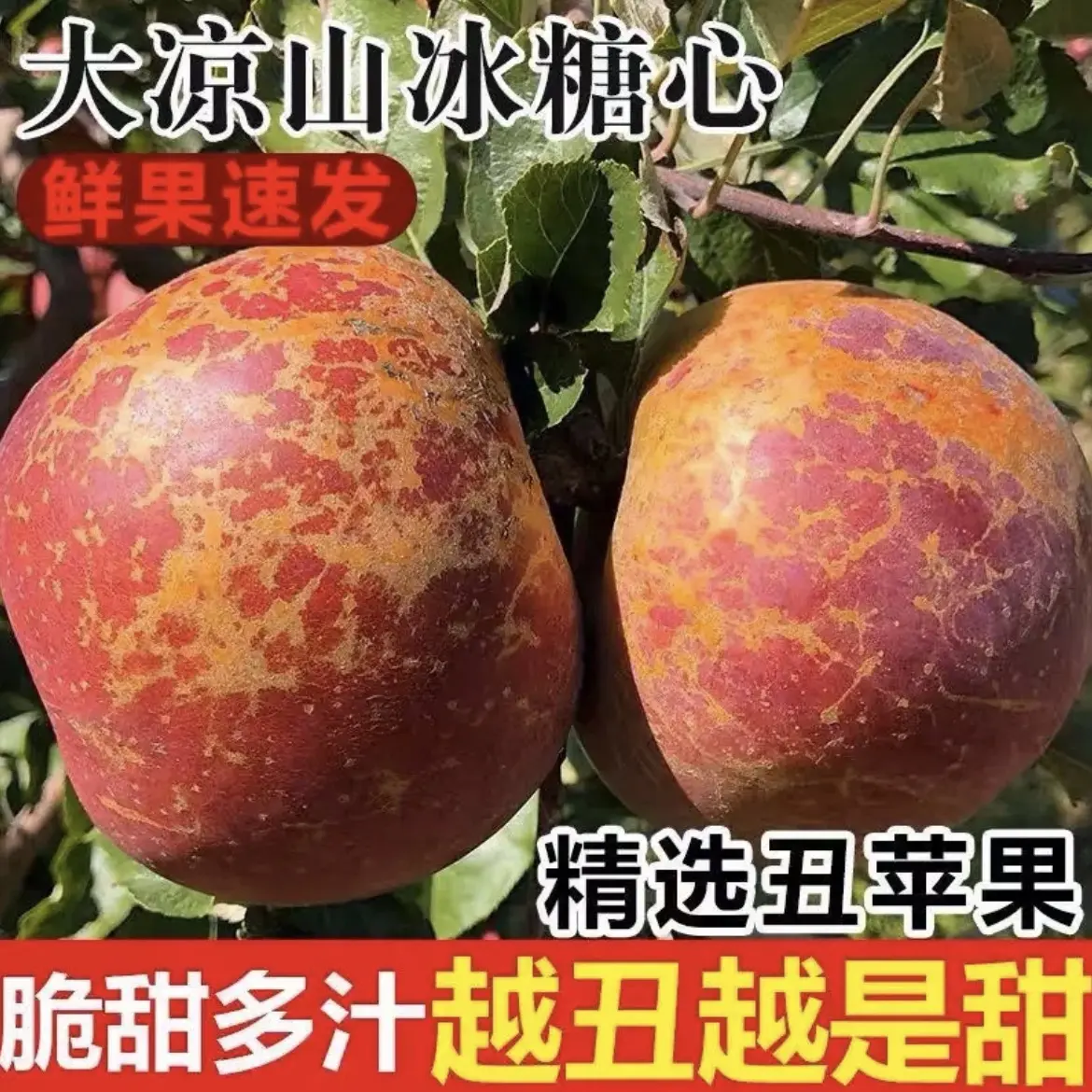 四川大凉山盐源丑苹果新鲜现摘当季脆甜多汁