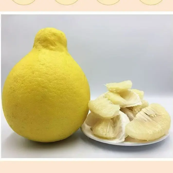 自家果园直发梅州松口正宗沙田柚纯甜无酸过年聚会好水果