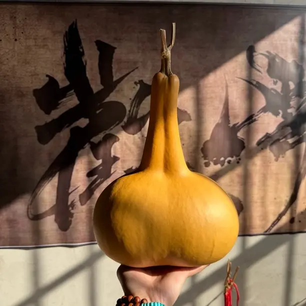 精品一比一连体双脐葫芦！！精选优选！