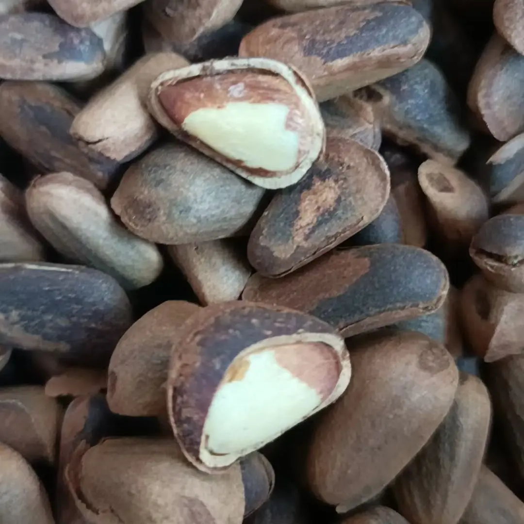 东北野生原味松子笨炒健康零食