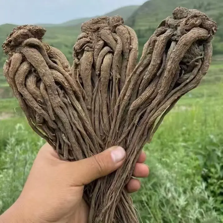 甘肃岷县当归全干货无硫磺熏过，无染色可泡水炖肉炖排骨
