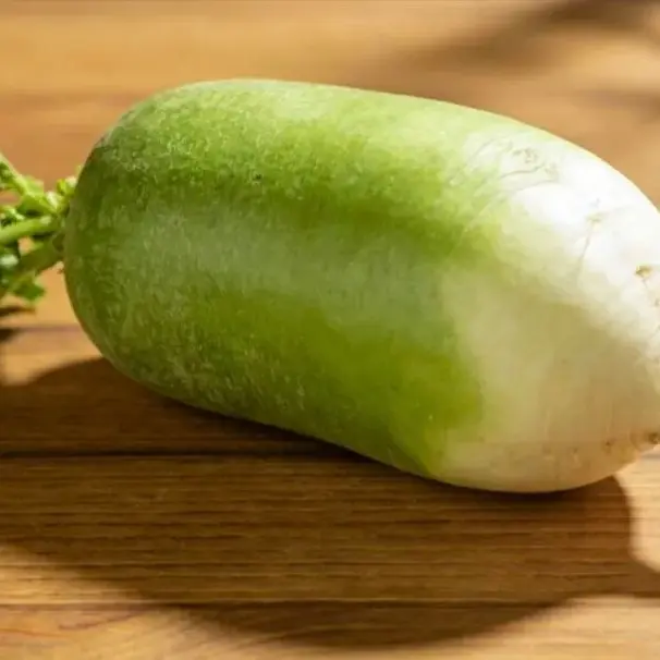 新鲜现拔青萝卜水果萝卜青皮萝卜水果口感清甜脆嫩多汁可生吃