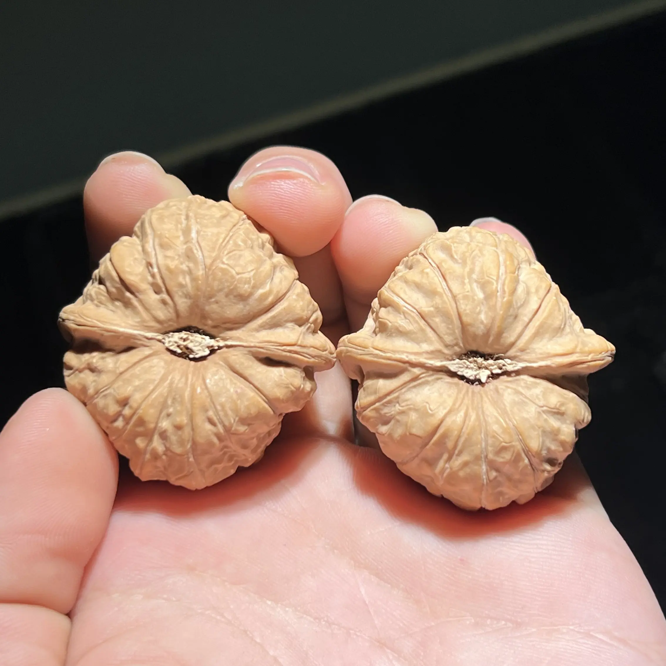 怀柔南瓜墩文玩核桃