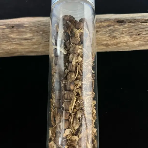 沉香福利款RZTD06随形桶珠06多样性发一