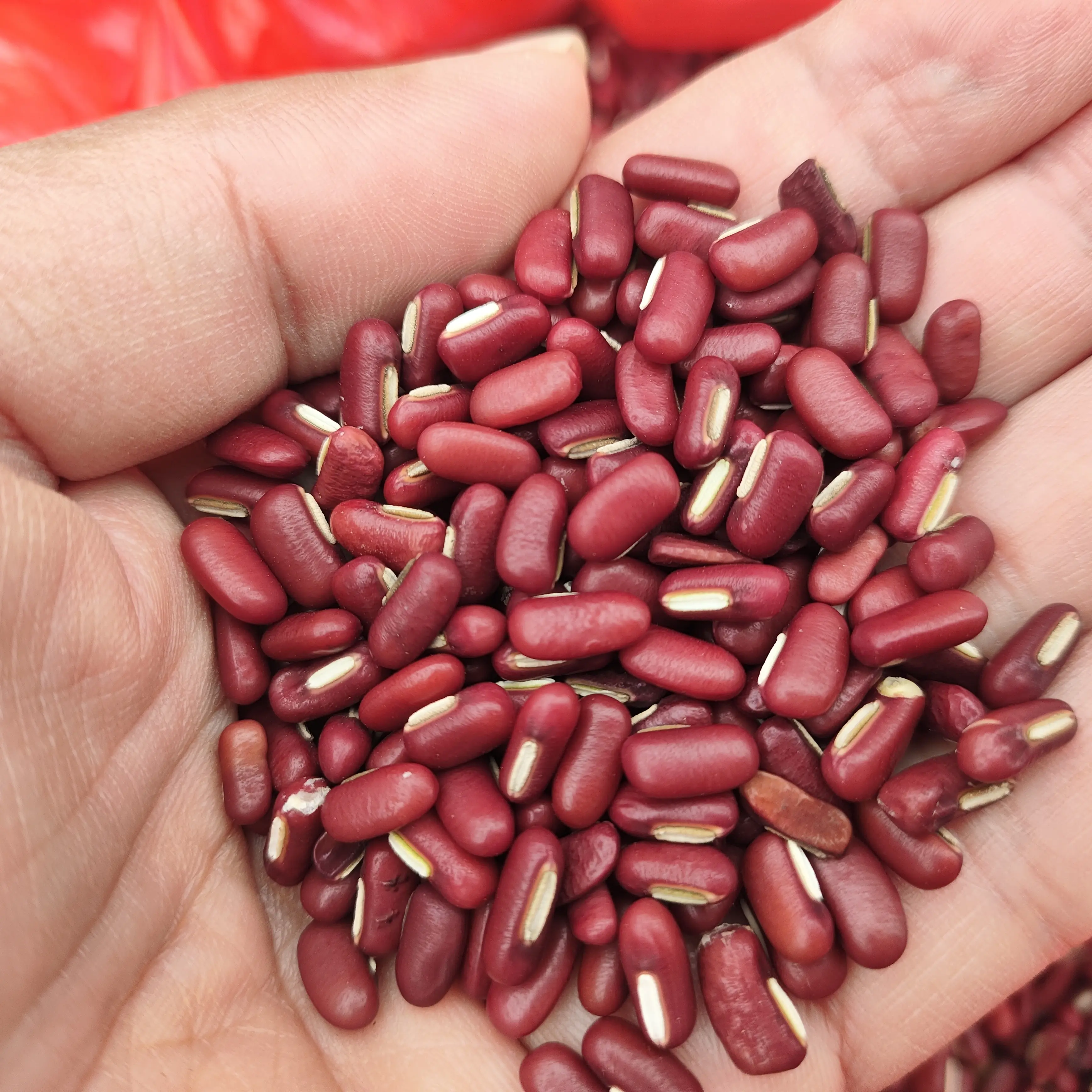 新货长粒赤小豆五谷杂粮可搭配薏米煲汤煮粥专用