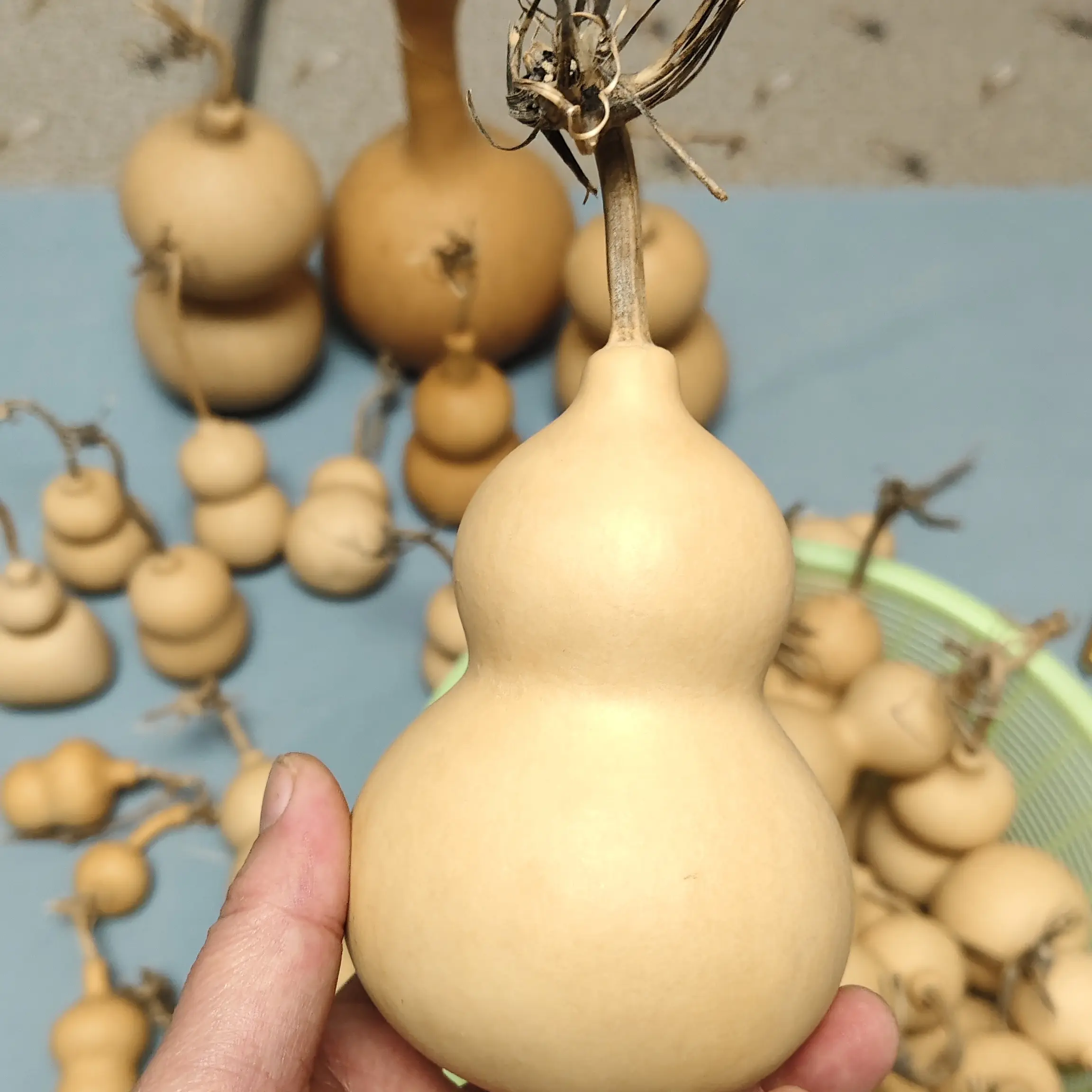 天然紫皮带龙头老葫芦文玩手捻摆件挂件把玩好物