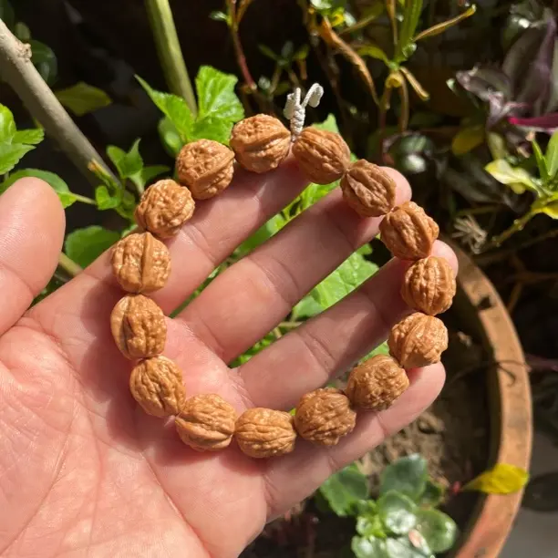 嵩山小蛤蟆头手串