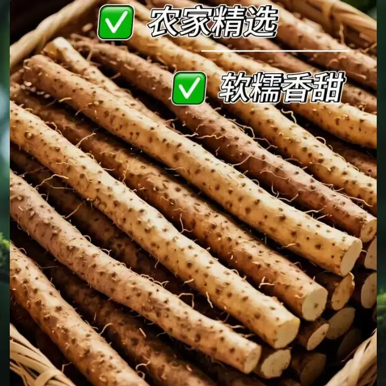 河南温县垆土铁棍山药怀山药新鲜现挖软糯粉面30cm断果
