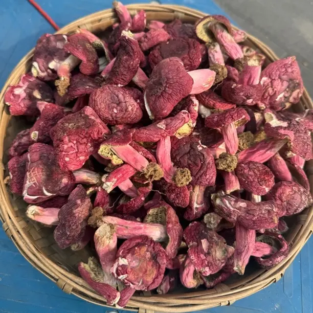 【永安德志】三明永安野生红菇干货真宗本地菇