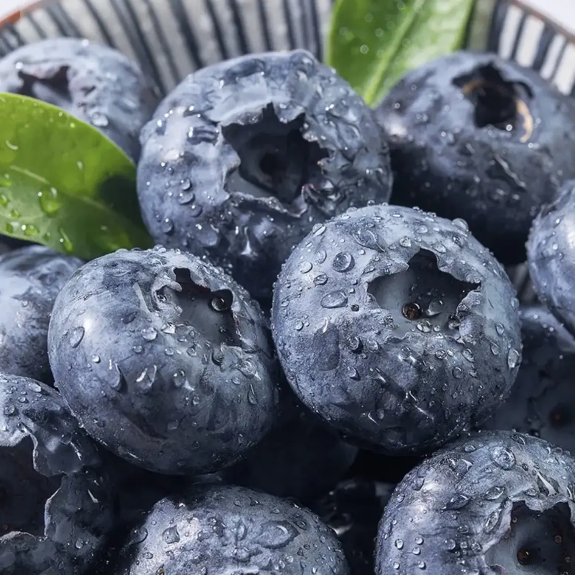【顺丰/京东空运】云南高山L25花香蓝莓新鲜现摘脆甜当季水果大果