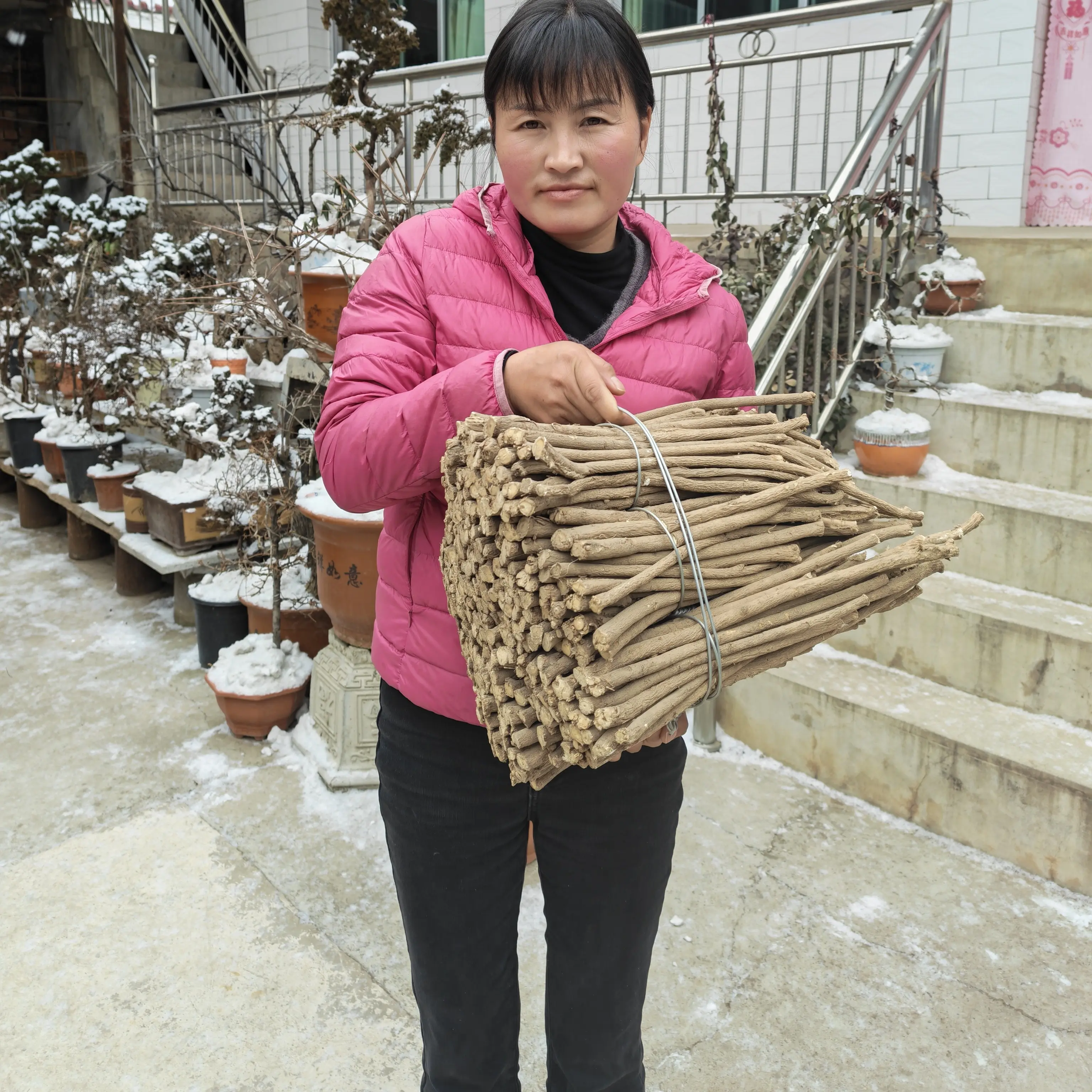 甘肃无硫黄芪主杆干货500克-1000克可煲汤泡水滋补养生