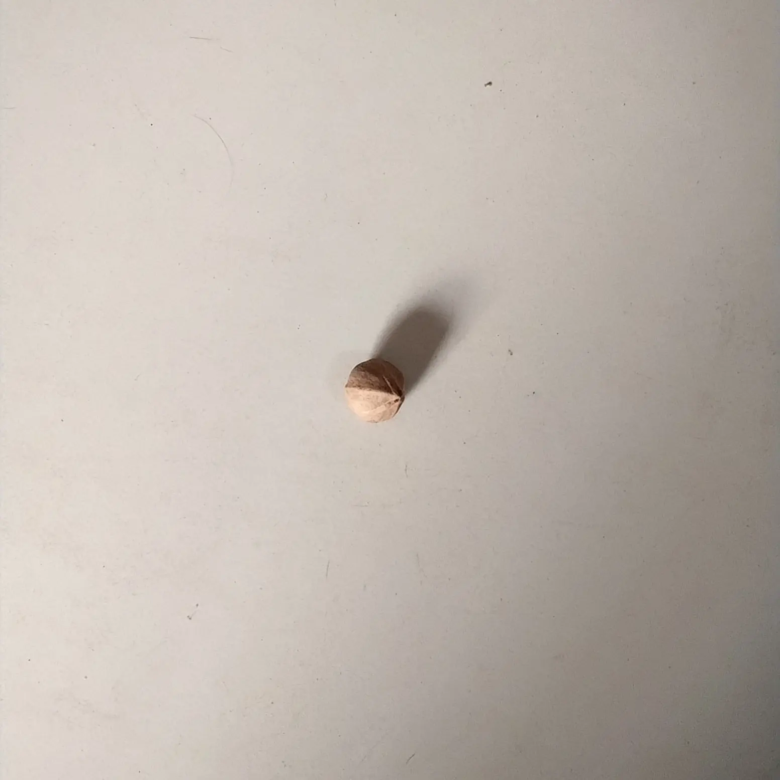 野生桃核手串全圆头货小金豆精品单圈手持