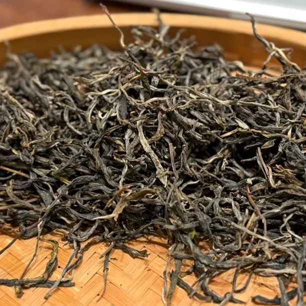 小荒田古树普洱生茶散茶2024春（小乔）