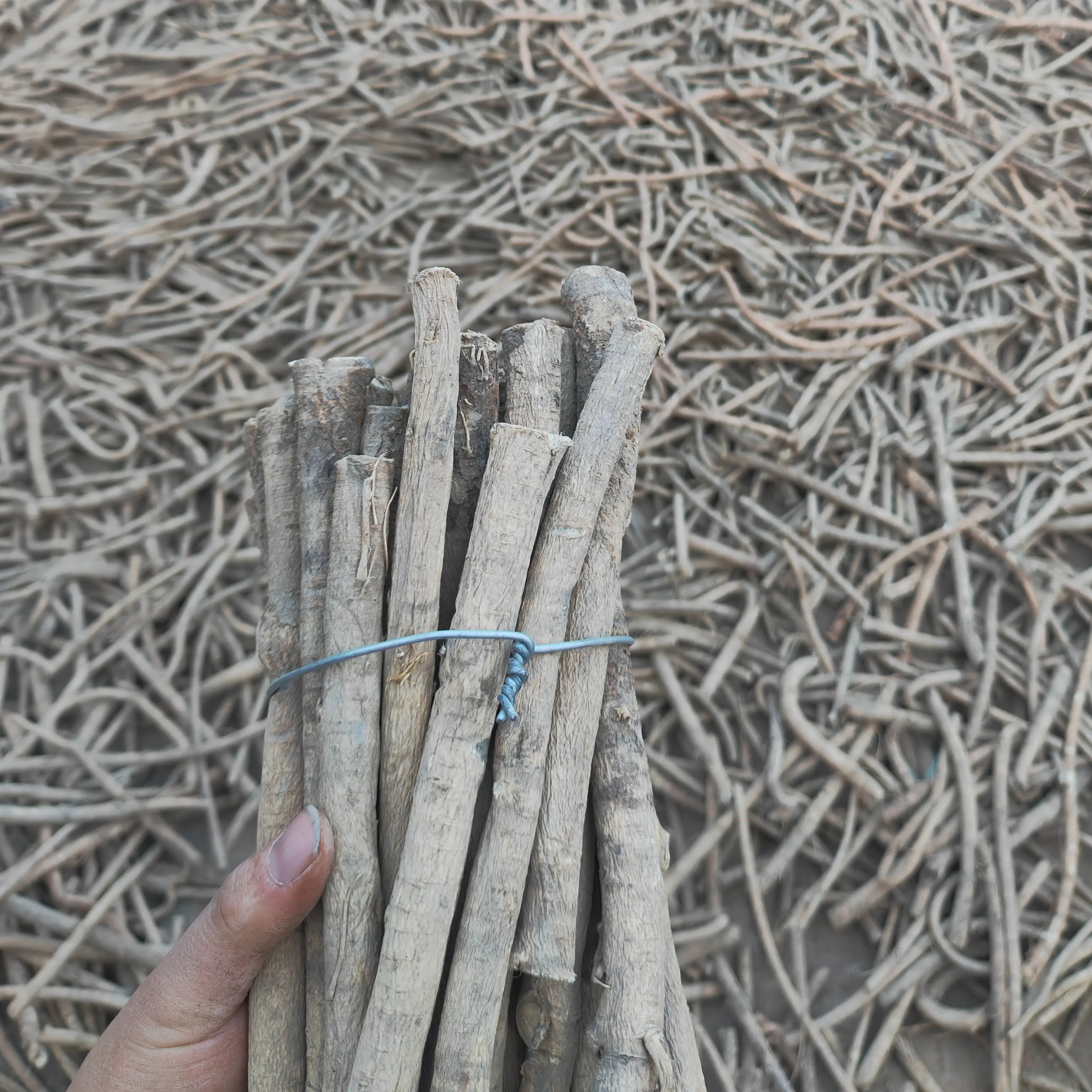 原产地直发自己种植黄芪干货可煲汤煮鸡入药泡酒