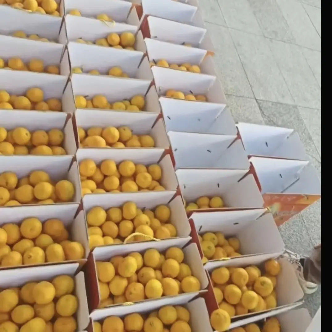 台州市无子蜜桔，一箱净果9斤，欢迎朋友们品尝