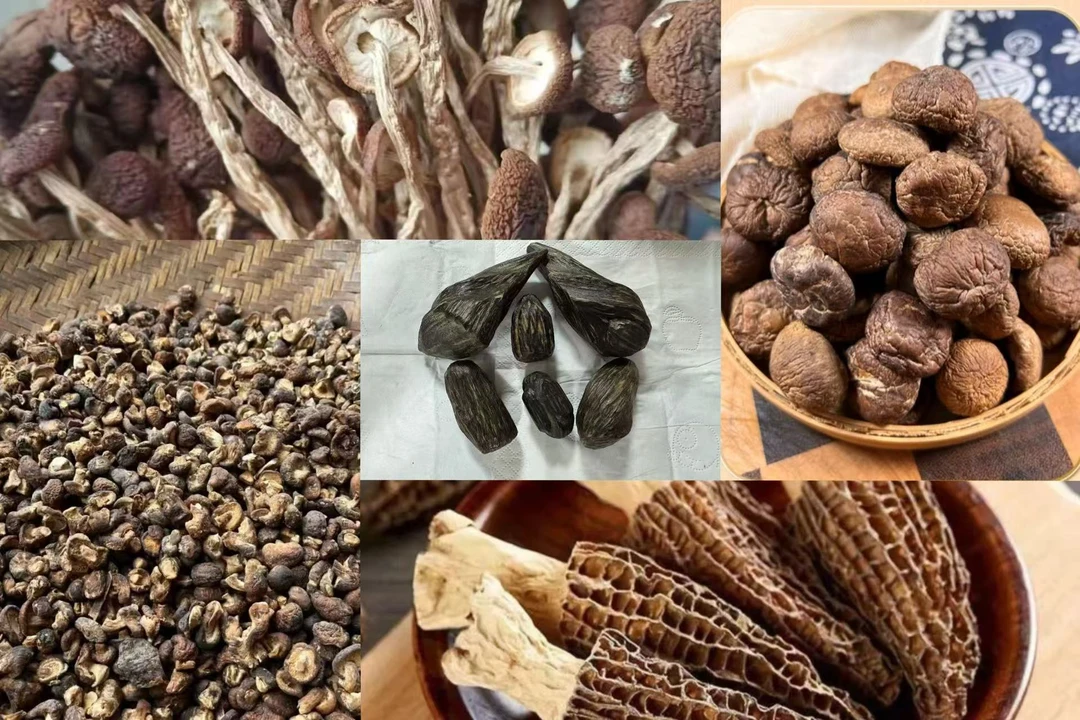 沉X（代拍链接非香菇）临时链接  初级农产品