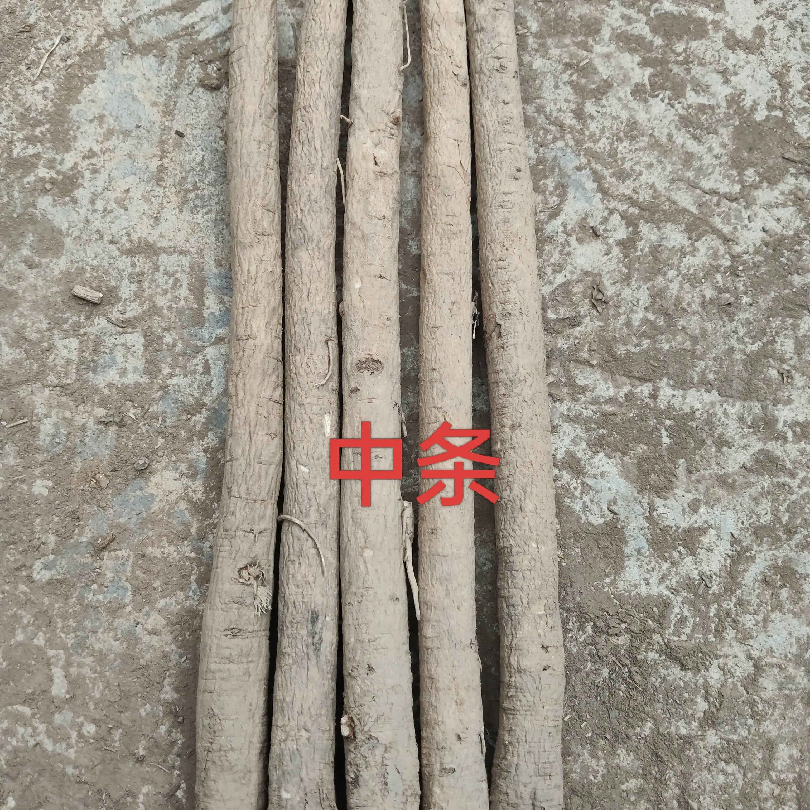 甘肃岷县去头去尾黄芪可煲汤泡水滋补养生