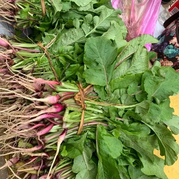 湖南道县大集农 萝卜菜