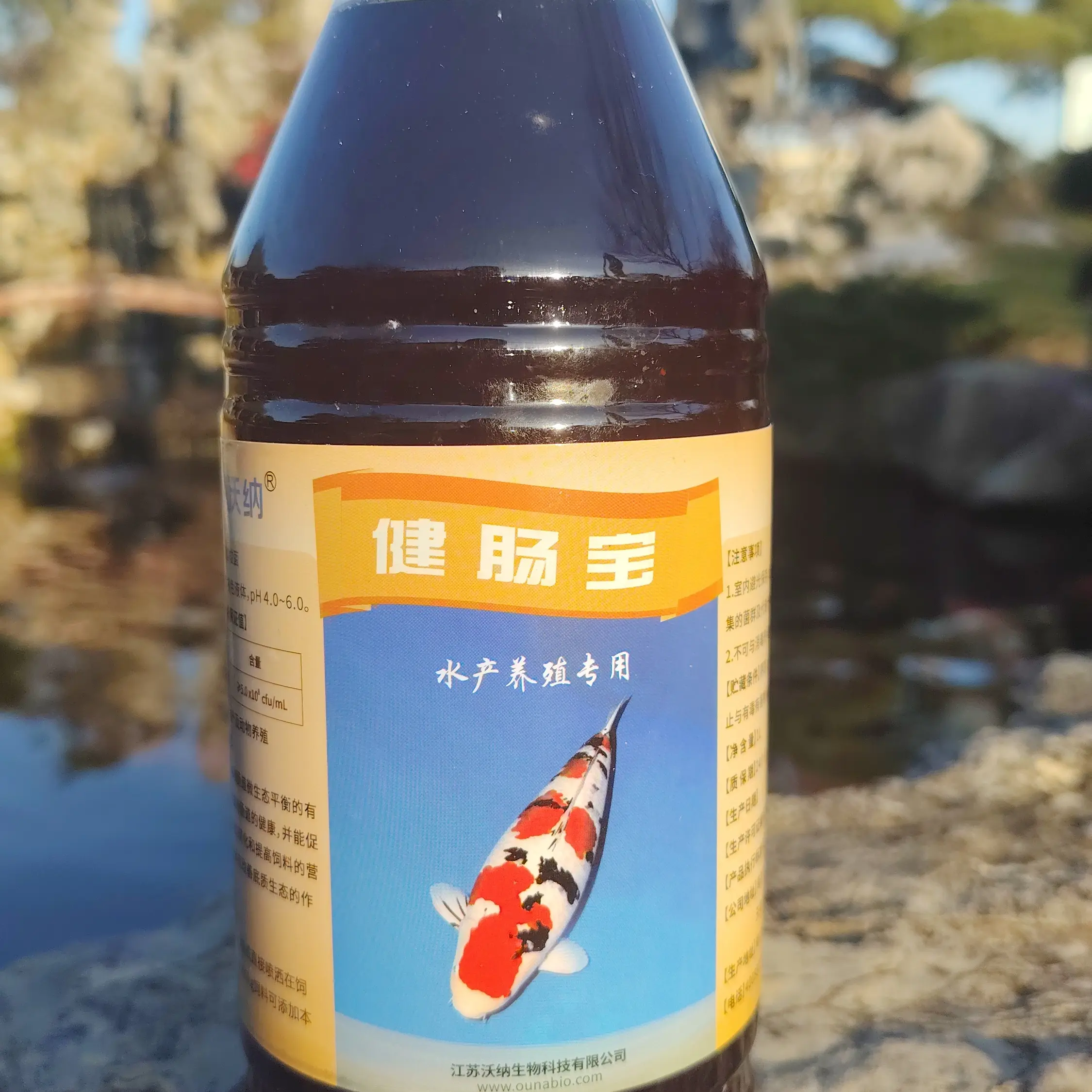 锦鲤金鱼伴食益生菌乳酸菌助消化预防水族养殖用