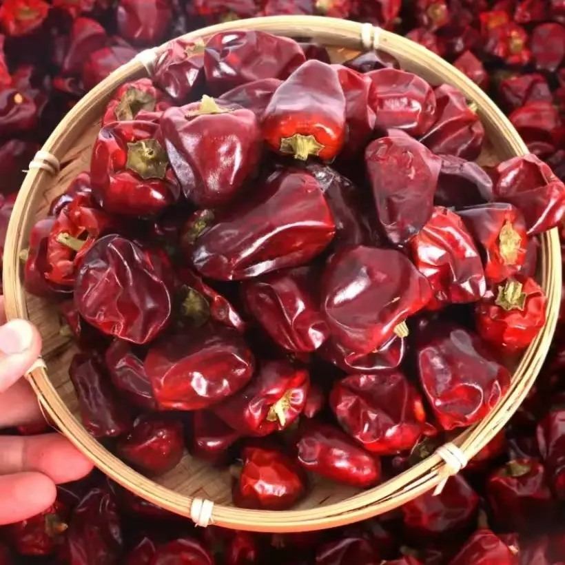 贵州灯笼椒干辣椒中辣特香农家红海椒正宗珠子椒圆子椒干货