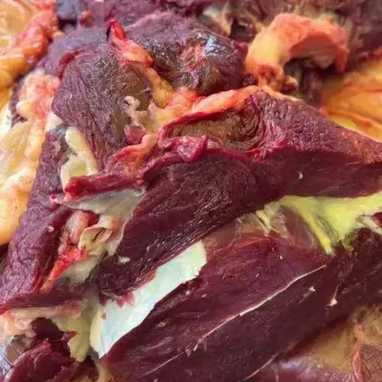 爽口肉 湖南特色金膘土黄牛纯草饲新鲜散养牛肉1斤起