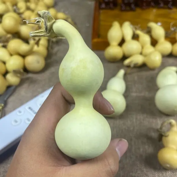 天然八宝小葫芦手把件文玩带龙头福禄葫芦