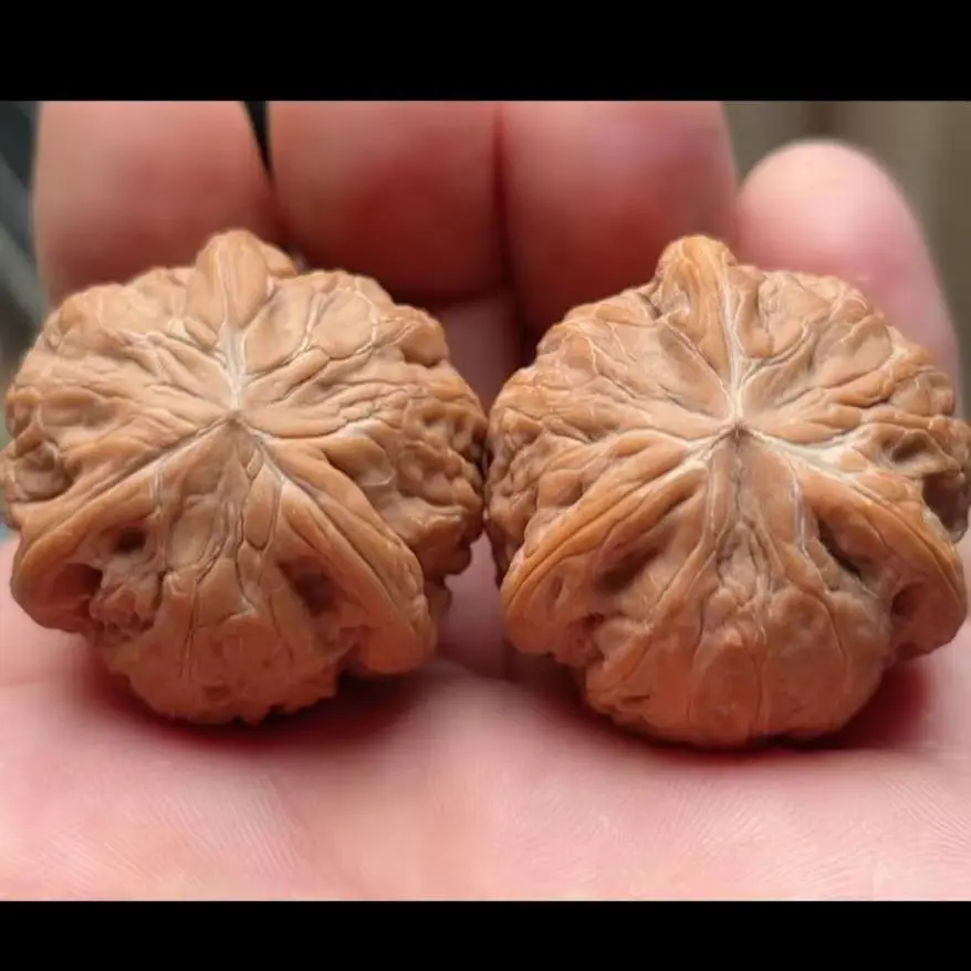 手把玩文玩核桃四座楼白狮子元宝蛤蟆头大粗筋宫灯直播间链接