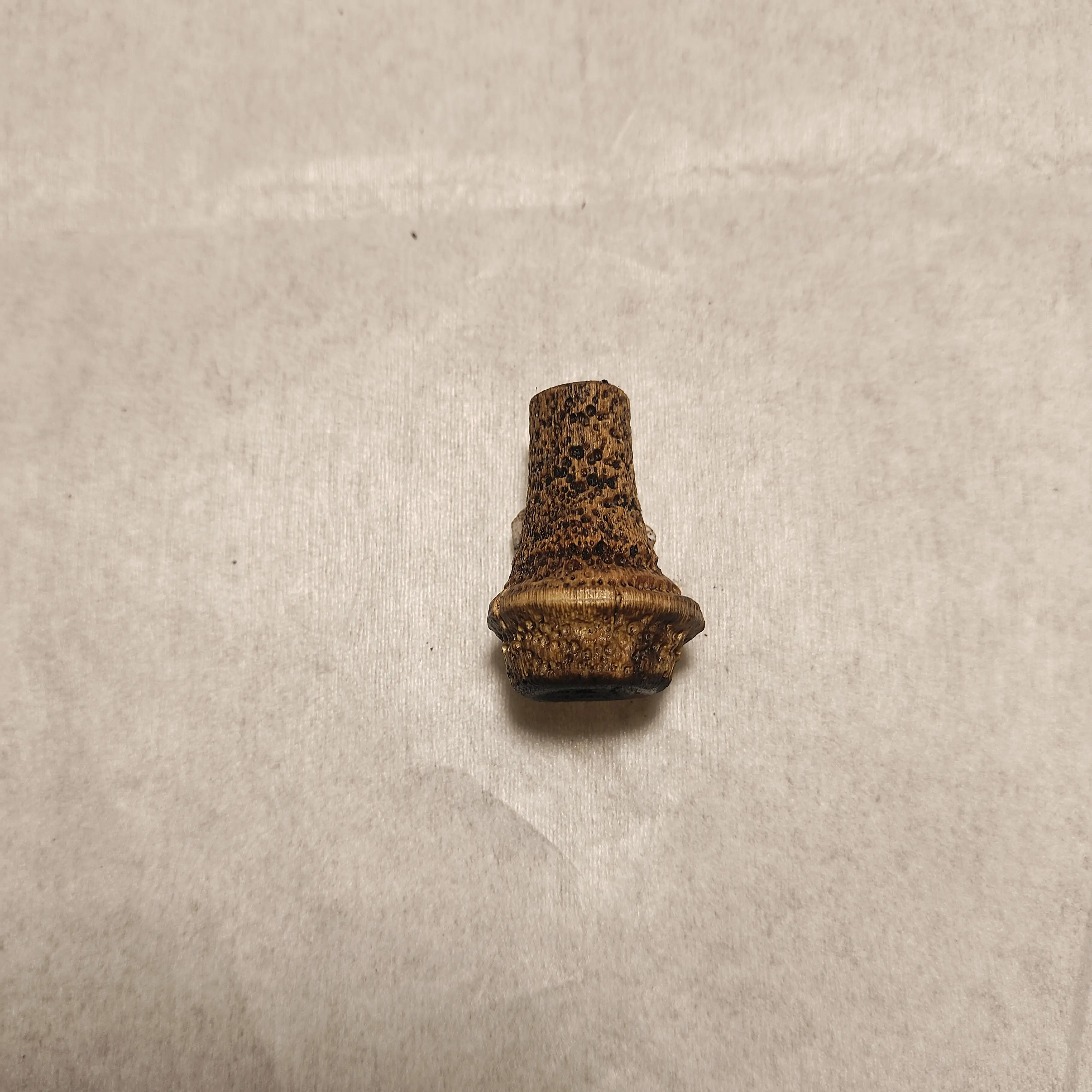 老竹鞭老竹根老竹筒老竹片烟杆料手把件茶侧料笔筒料