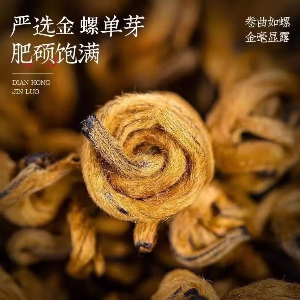云南凤庆古树滇红金螺蜜香金芽浓香红茶新茶