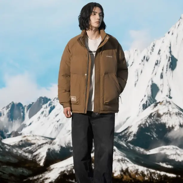 5550男士冬季立领短款加厚宽松白鸭绒保暖休闲