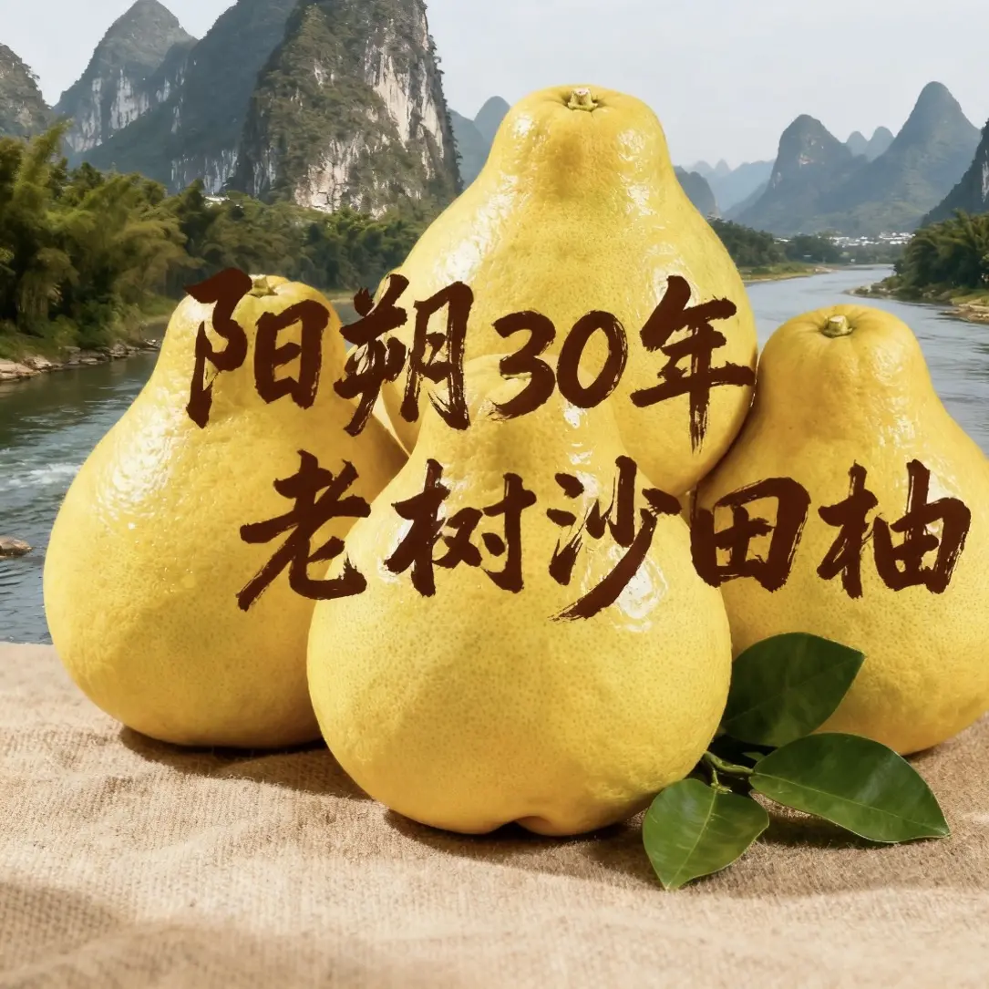 正宗广西阳朔老树沙田柚新鲜水果纯甜无酸非梅州非容县非产地直发