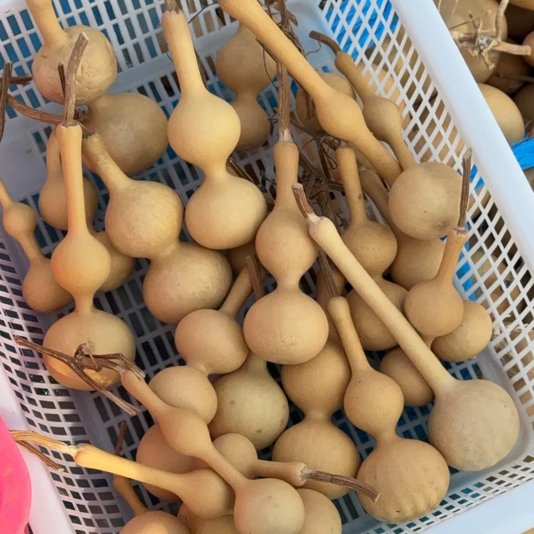 天然小葫芦手把件可盘玩文玩好物