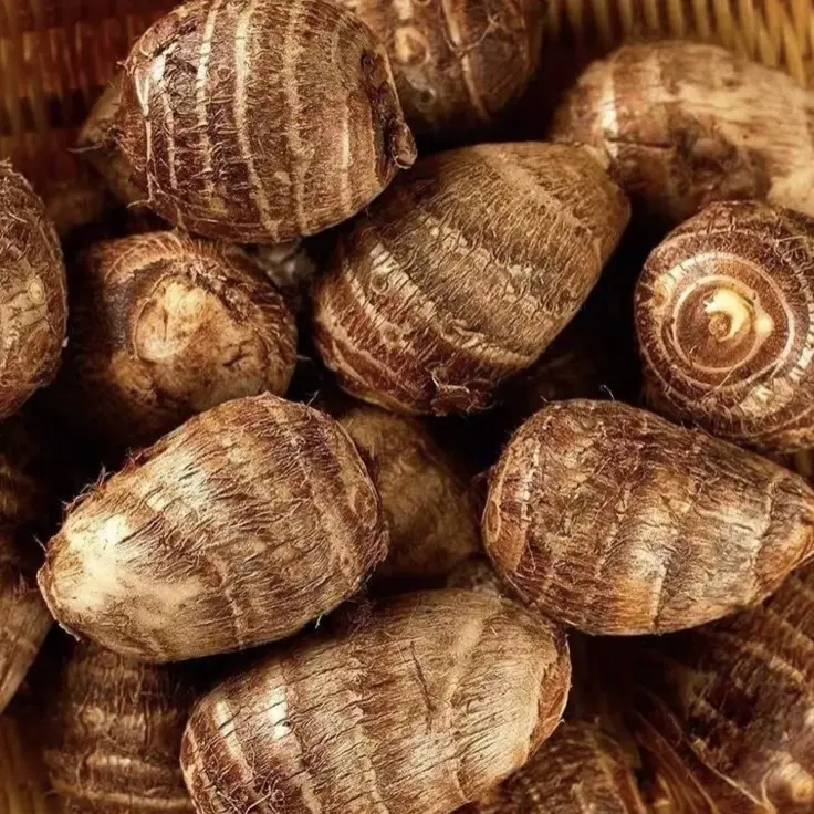 （选二娃山货）新鲜小芋头农家自种 香甜软糯