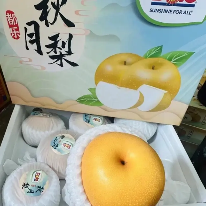 都乐秋月梨6-8粒净6斤