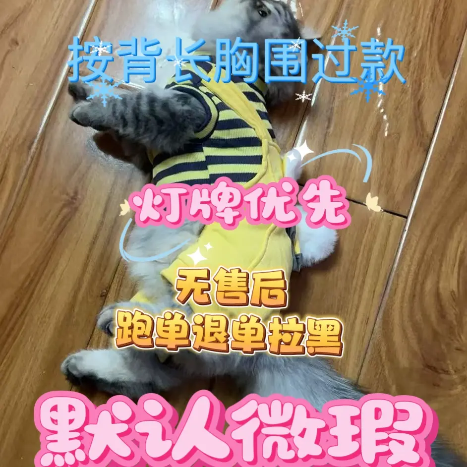 G宠物衣服251-350（无售后不退不换）