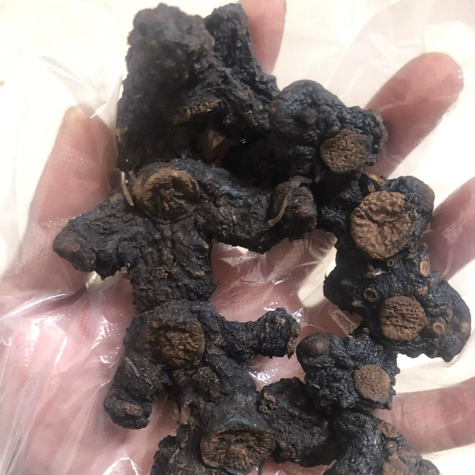 （九蒸九晒）云南正宗山货 仙人余粮 九蒸九晒