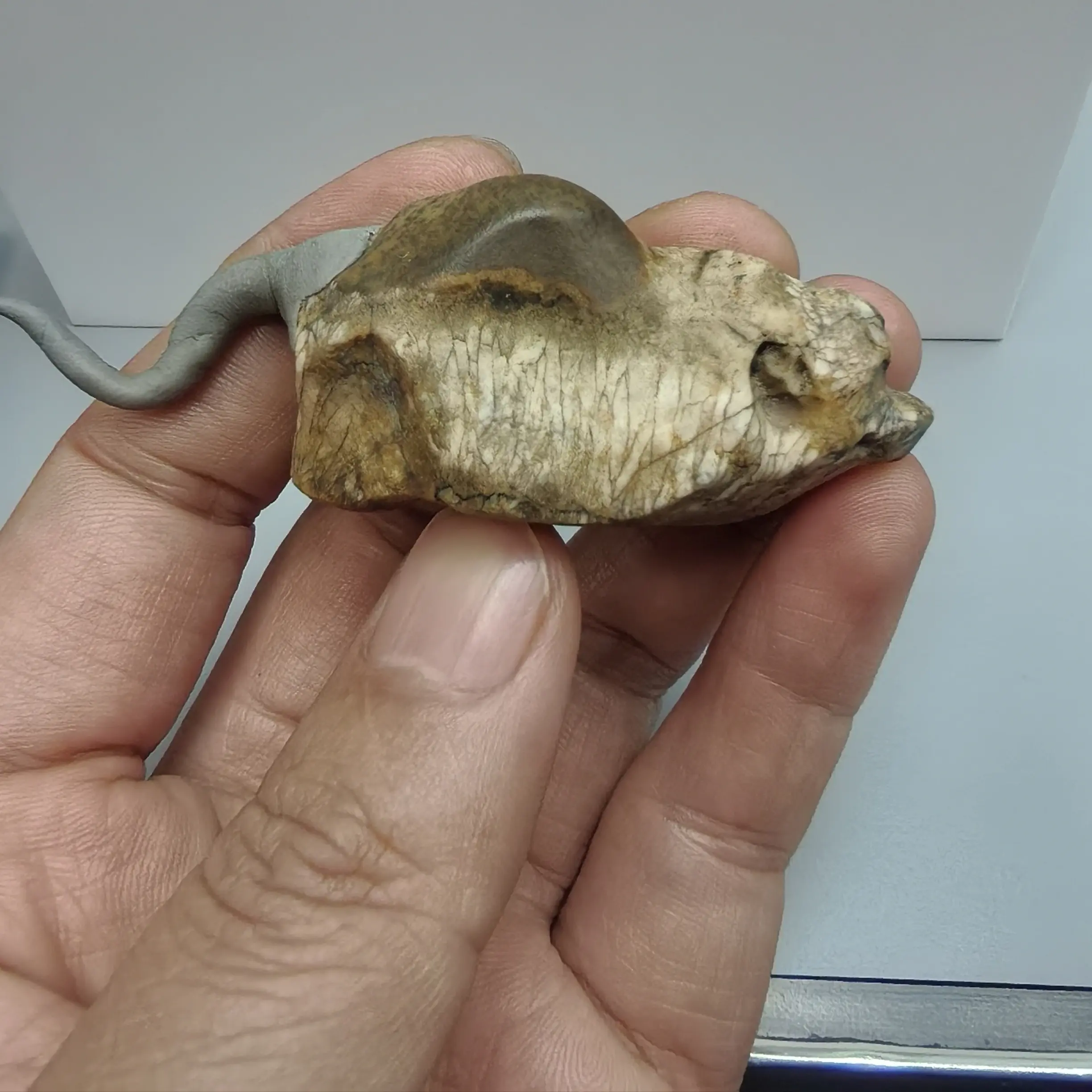 新疆戈壁石/风凌石/泥石/象形石/收藏摆件